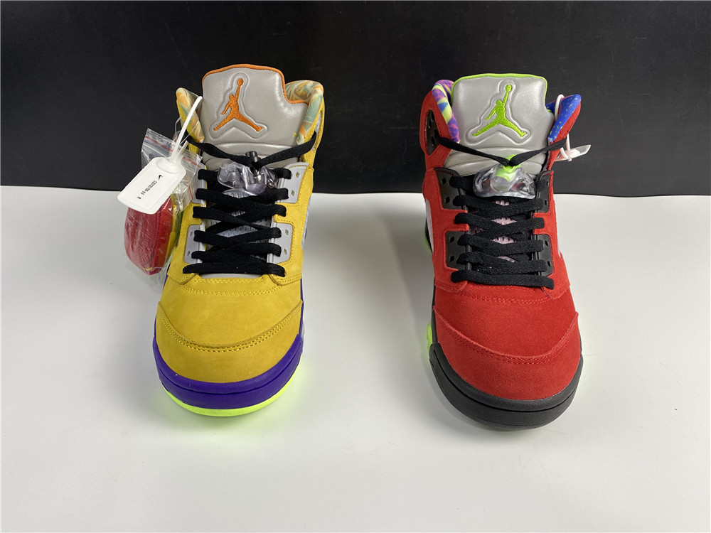 Air Jordan 5  ??What The