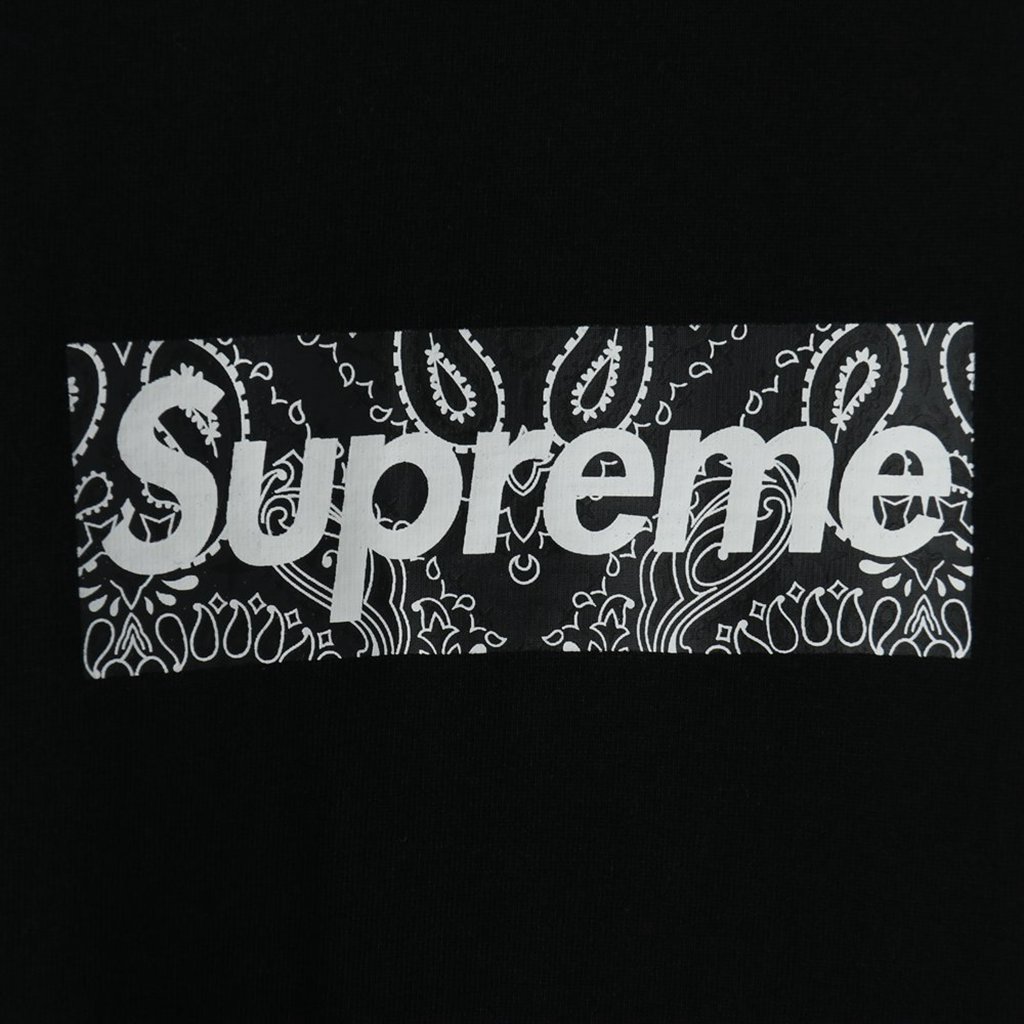 Svp*me 19FW Bandana Box Logo Tee?