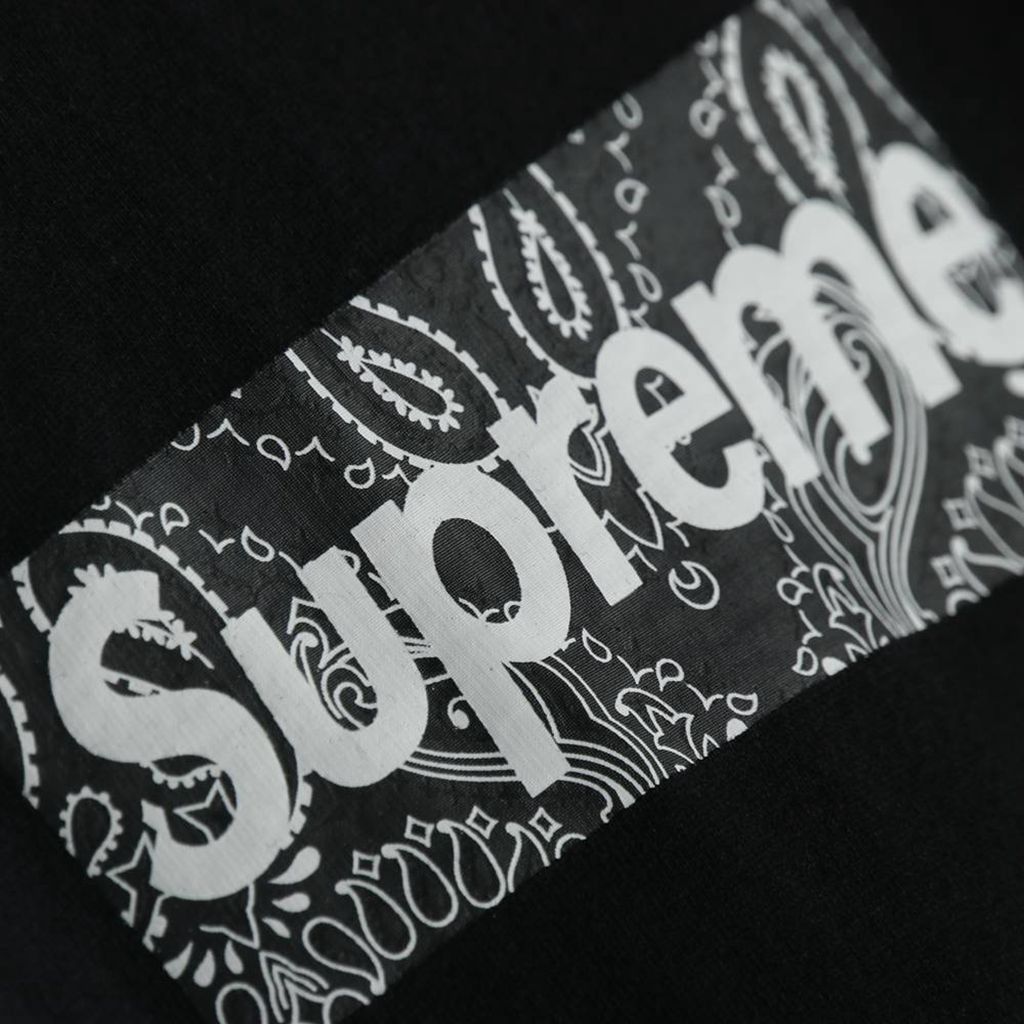 Svp*me 19FW Bandana Box Logo Tee?