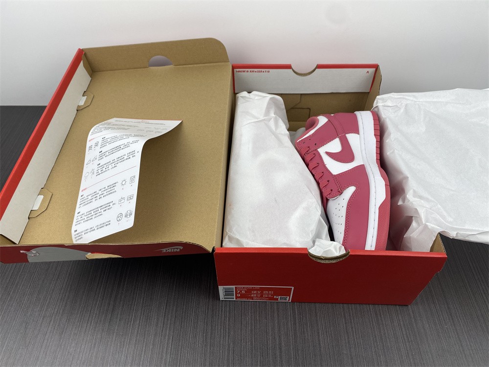 SB Dunk Low Archeo Pink DD1503-111