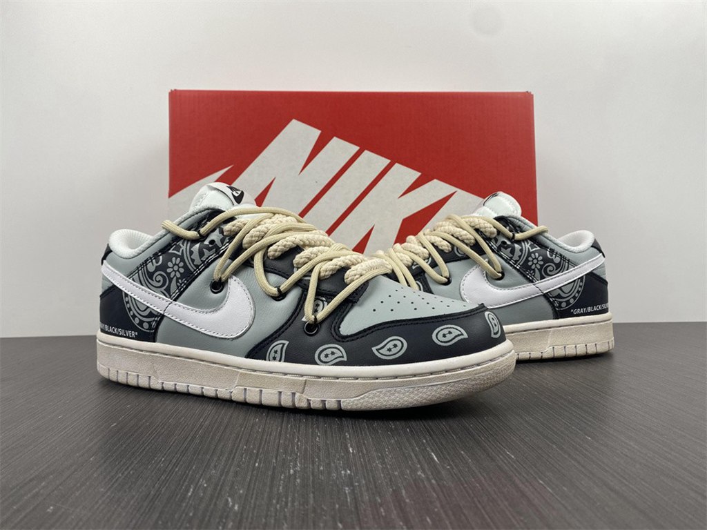 Nike Dunk Low RETRO DD1503-109
