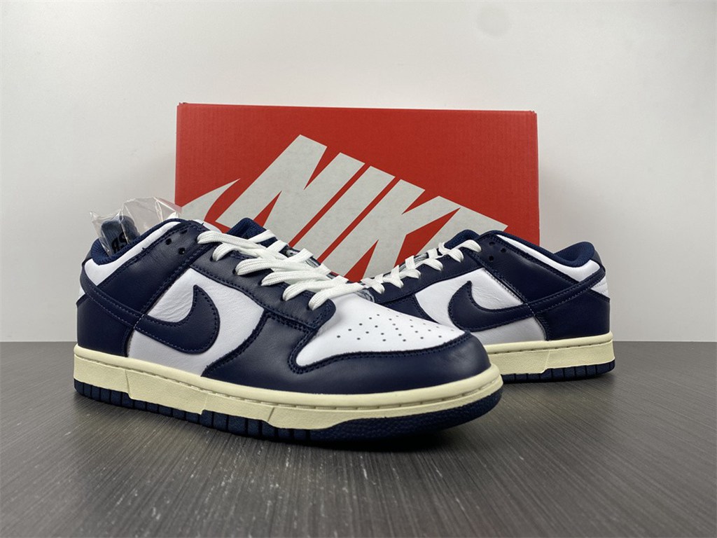 Nike Dunk Low DD1503-115