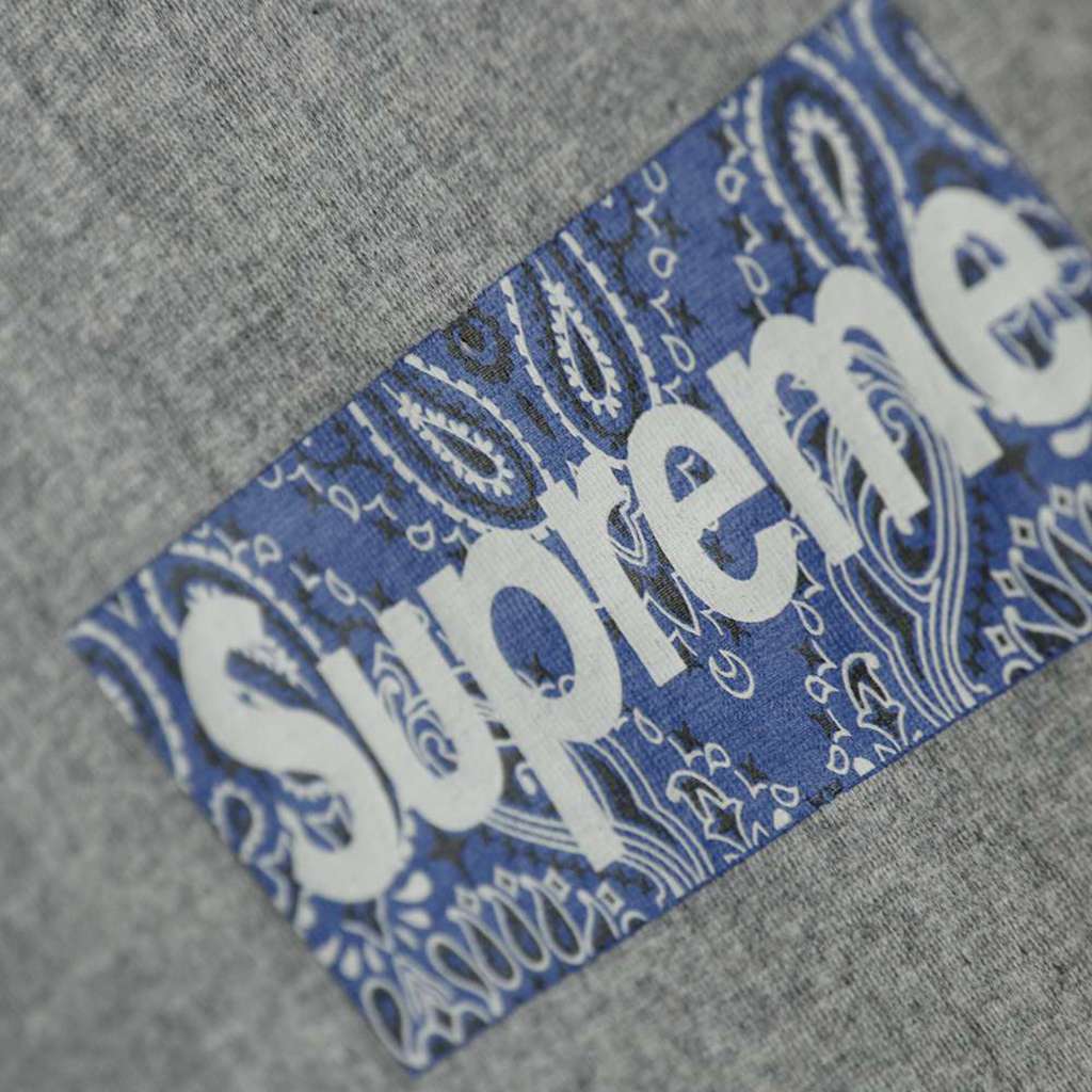 Svp*me 19FW Bandana Box Logo Tee
