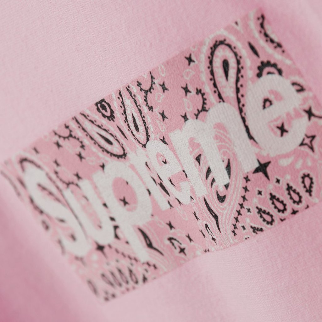 Svp*me 19FW Bandana Box Logo Tee?