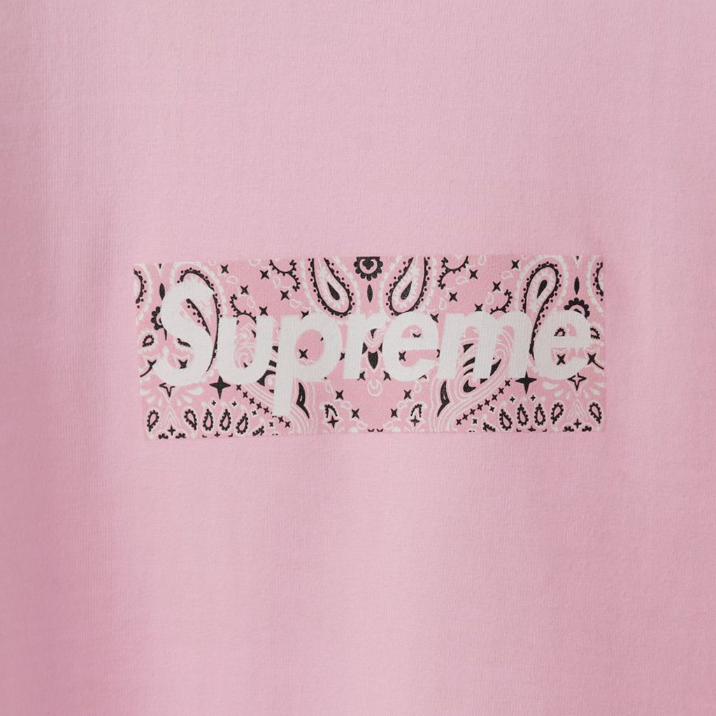 Svp*me 19FW Bandana Box Logo Tee?