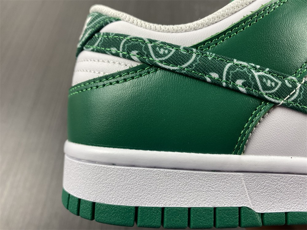 Nike Dunk Low SB DH4401-102