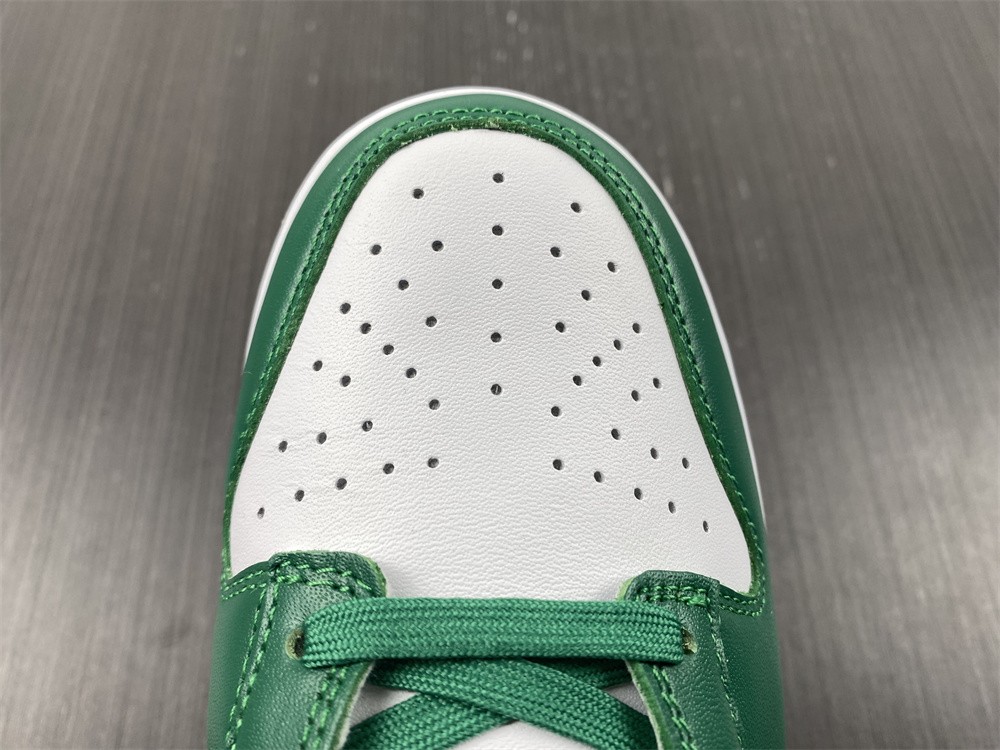 Nike Dunk Low SB DH4401-102