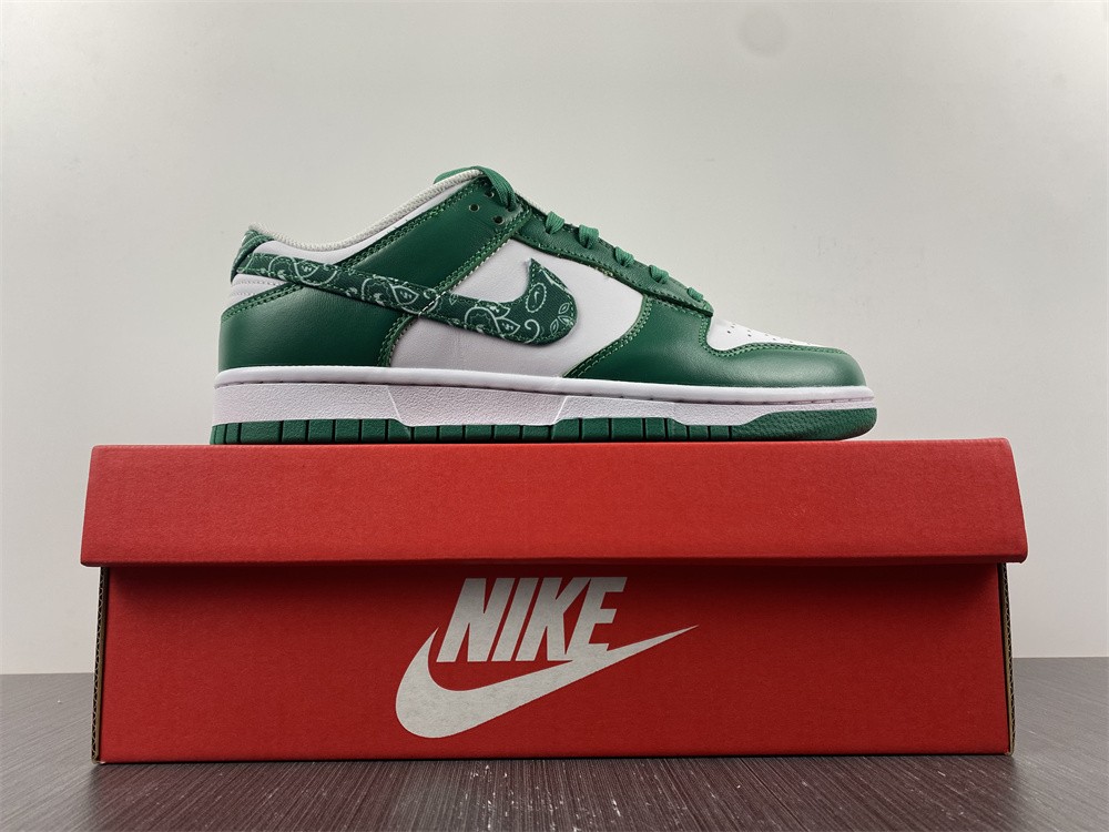 Nike Dunk Low SB DH4401-102