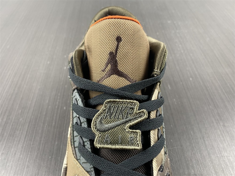 Air Jordan 3 Camo DO1830-200