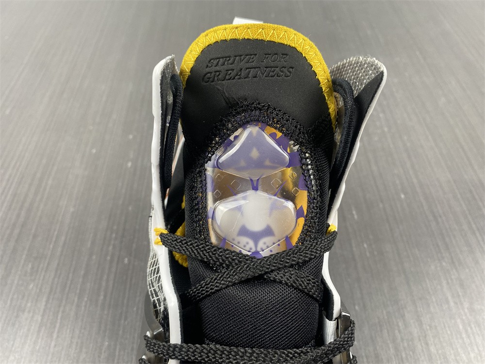 Nike Lebron 19