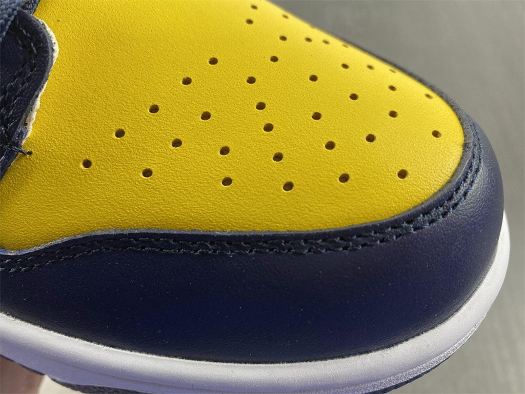 Nike SB Dunk Low Michigan DD1391-700