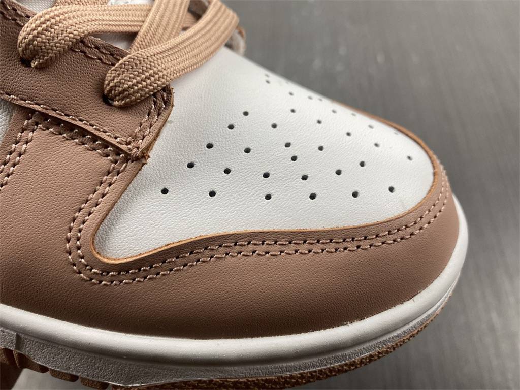 NK Dunk Low Retro DD1503-118