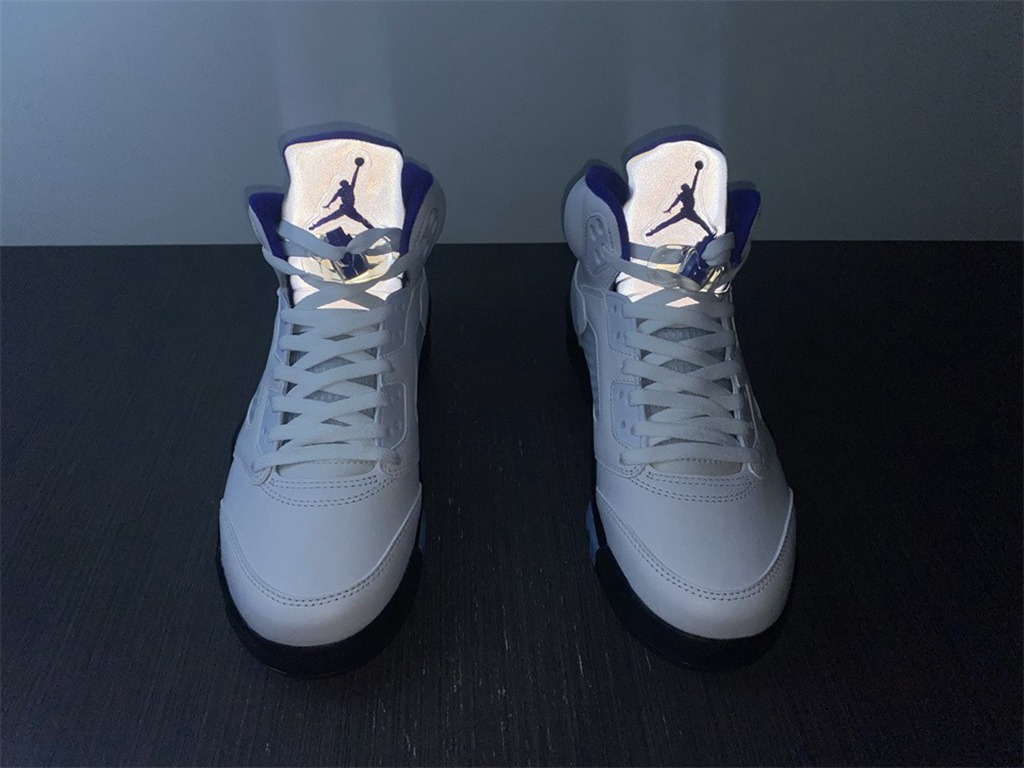 Air Jordan5 CONCORD