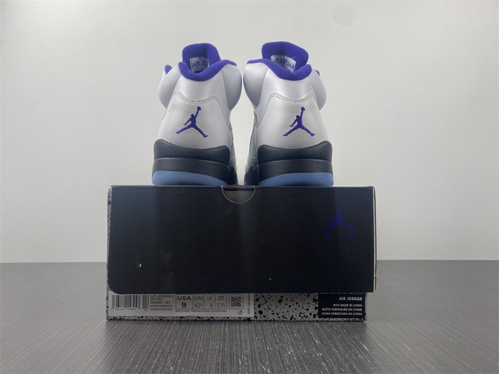 Air Jordan5 CONCORD