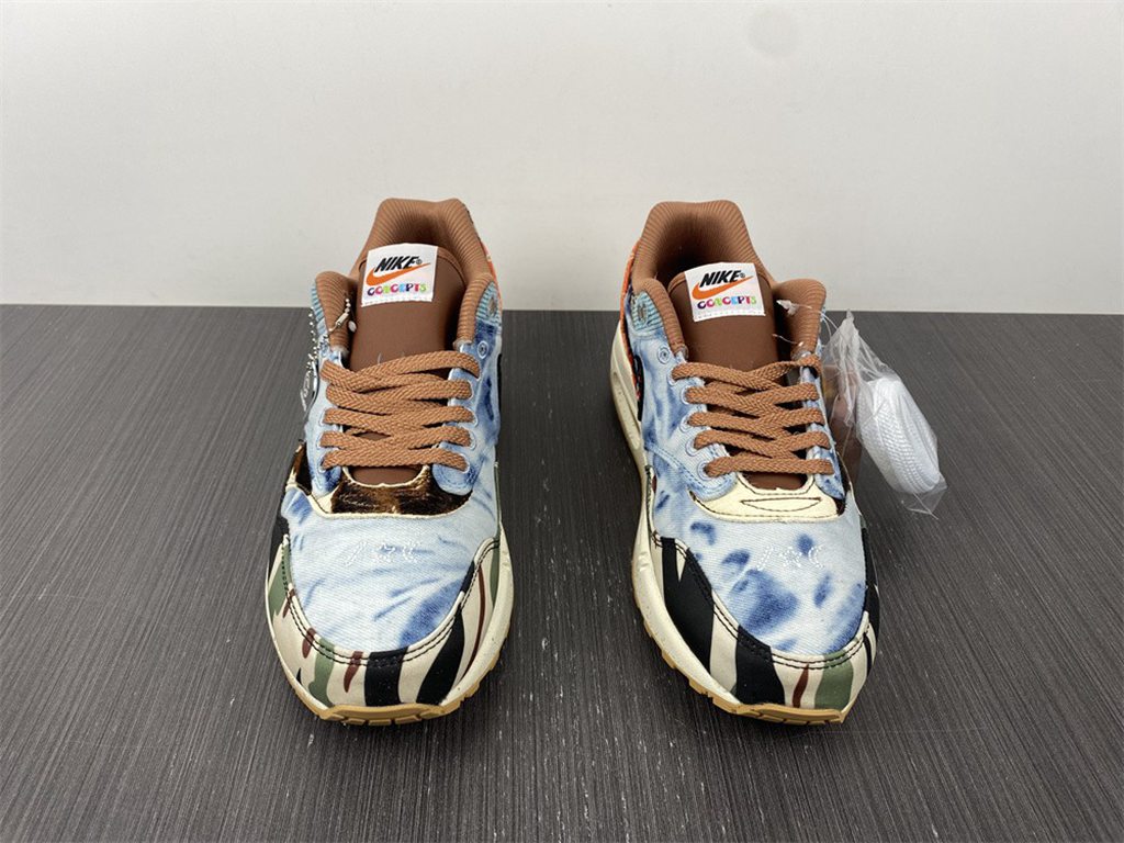 Nike Air Max 1x Concepts DN1803-900