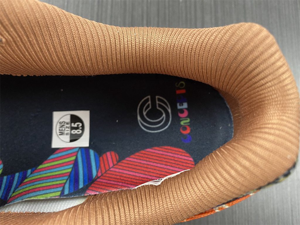 Nike Air Max 1x Concepts DN1803-900