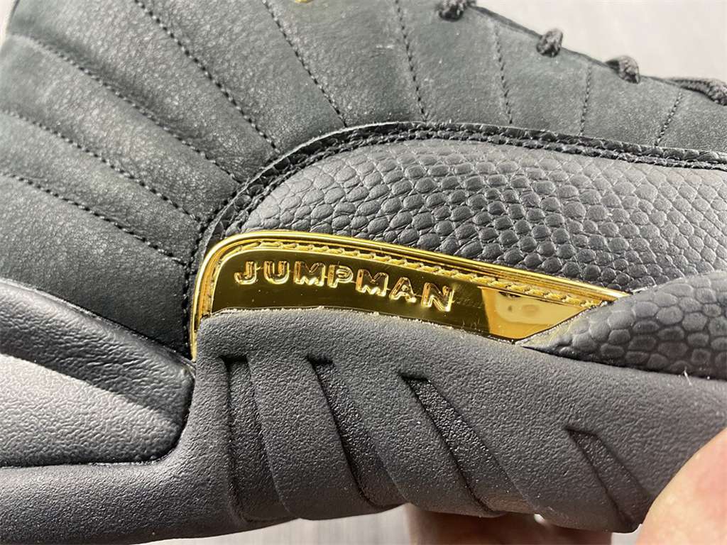 Air Jordan 12 Black Taxi  CT8013-071