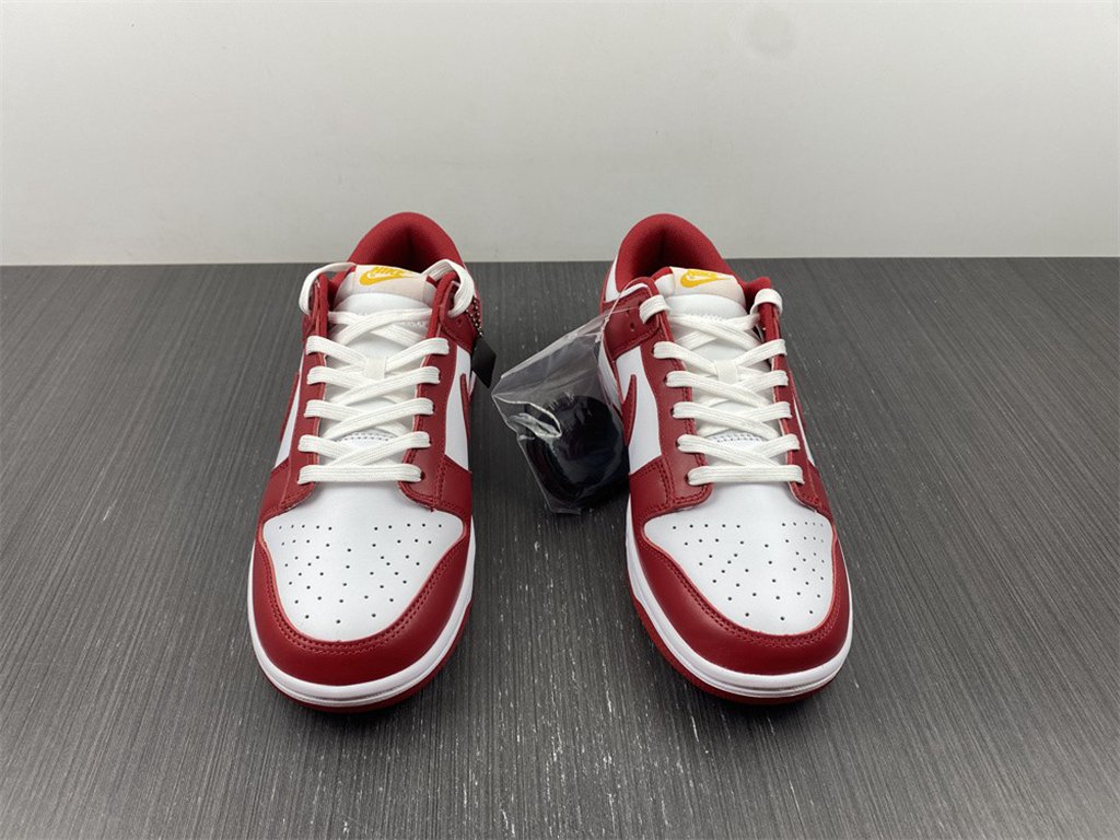 Dunk Low Gym Red DD1391-602