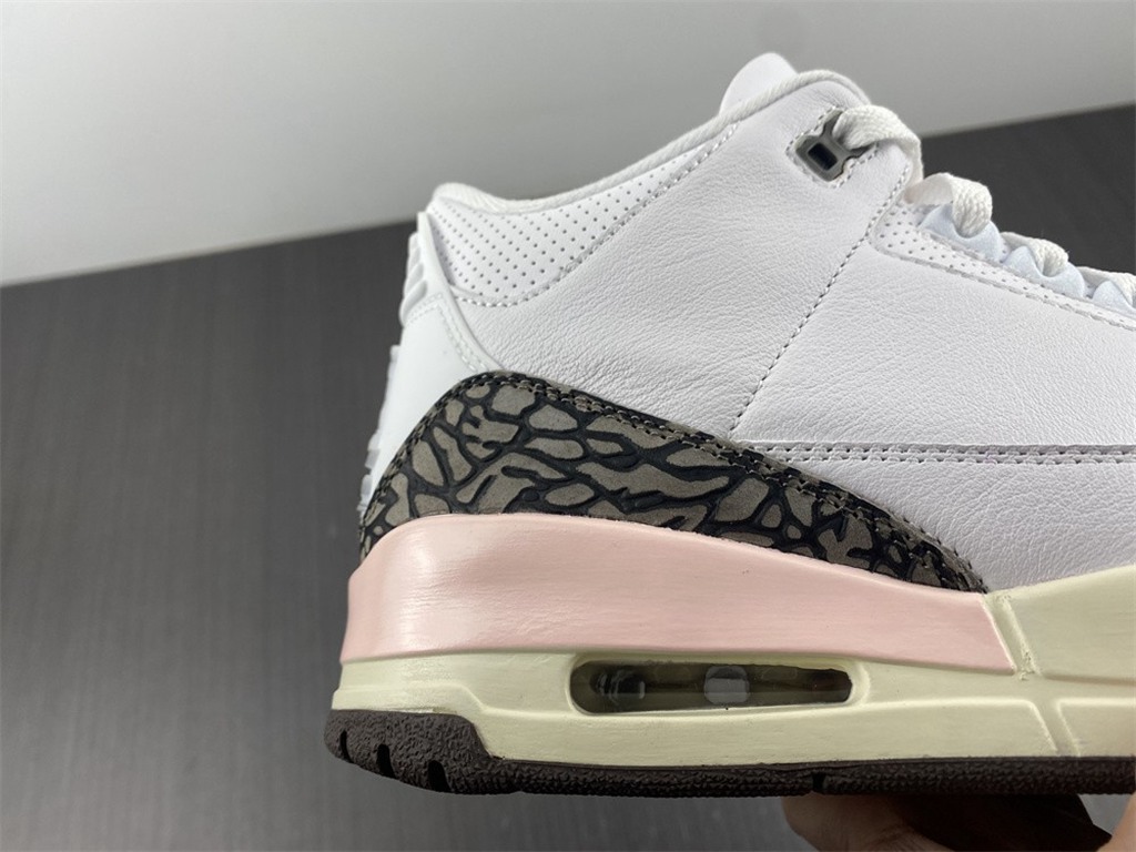 JORDAN 3 RETRO  NEAPOLITAN