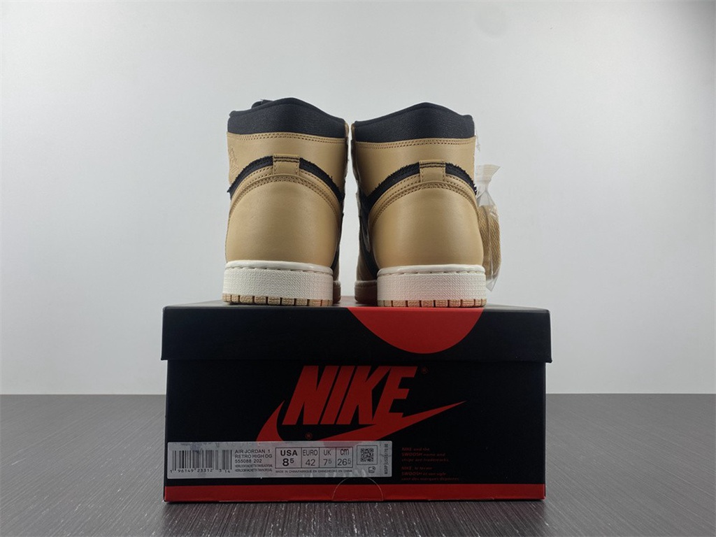 Air Jordan 1 Hig OG 555088-202