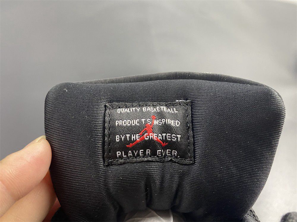 Air Jordan 11 Animal Instinct AR0715-010