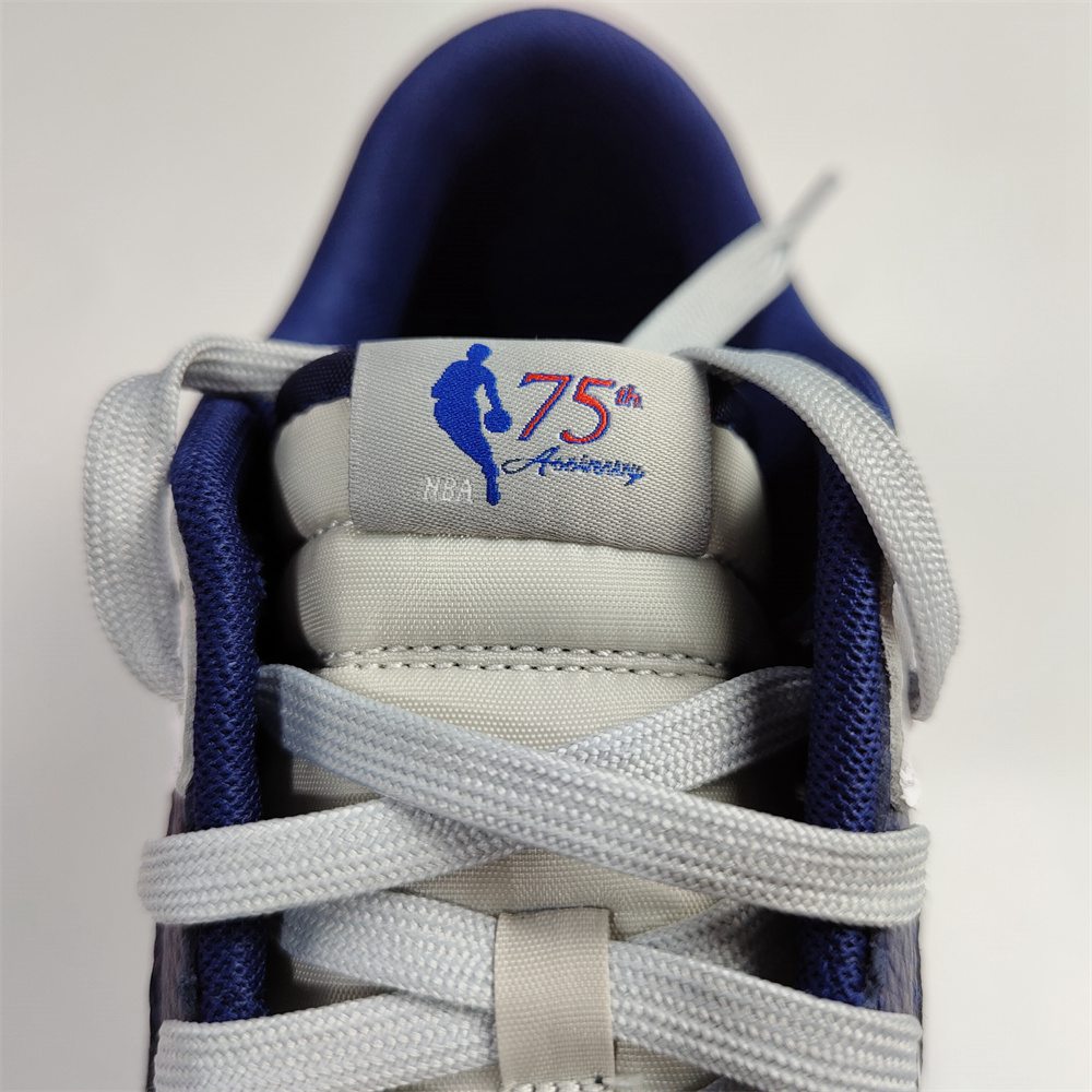 NBA x Nike Dunk Low Brooklyn Nets DD3363-001