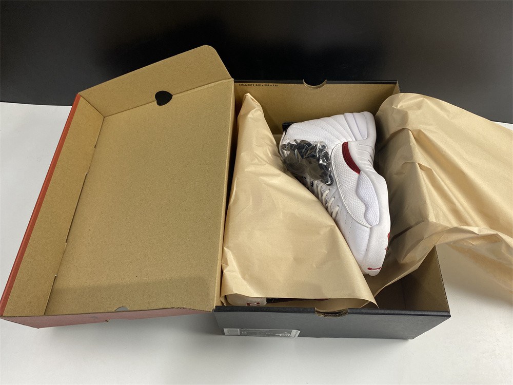 Air Jordan 12 CT8013-106