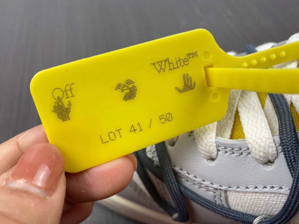 Dunk NO.41 Nike Dun DM1602-105