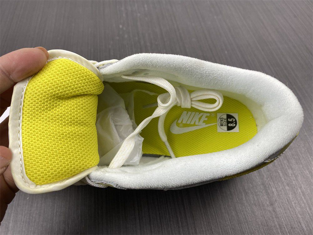 Nike Dunk low DM9467-700