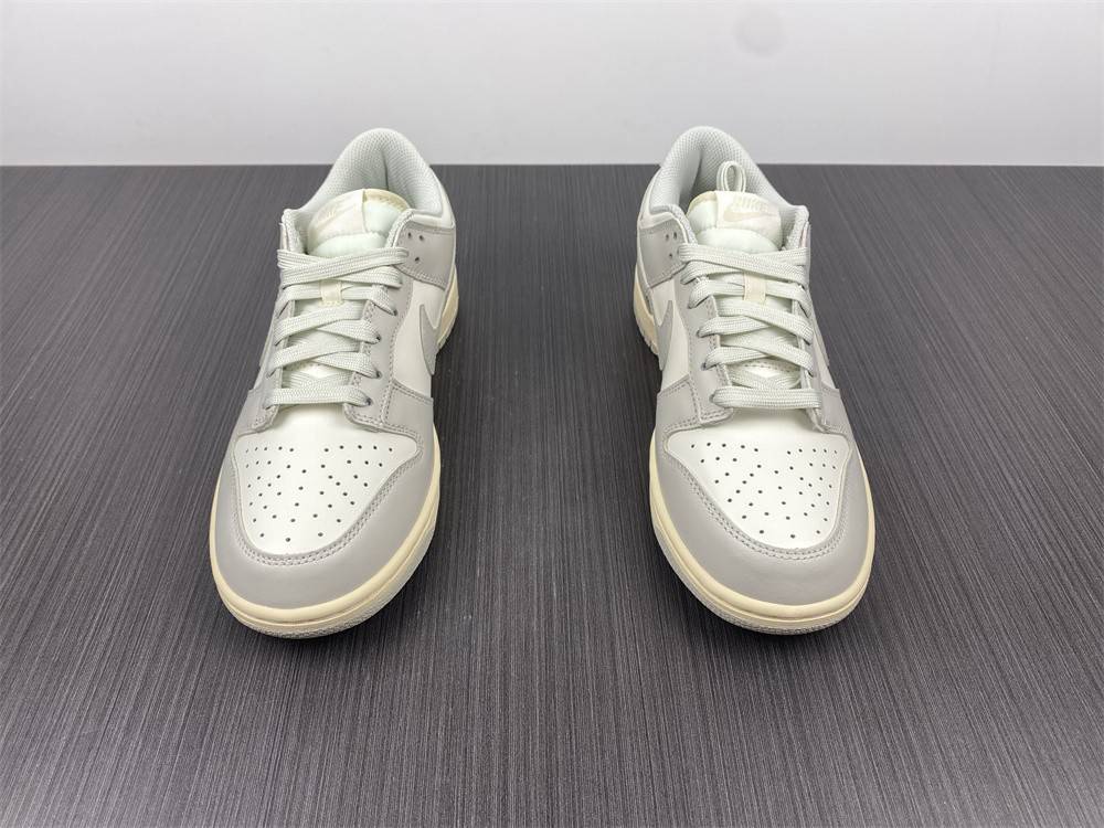 NIKE DUNK LOW DD1503-107