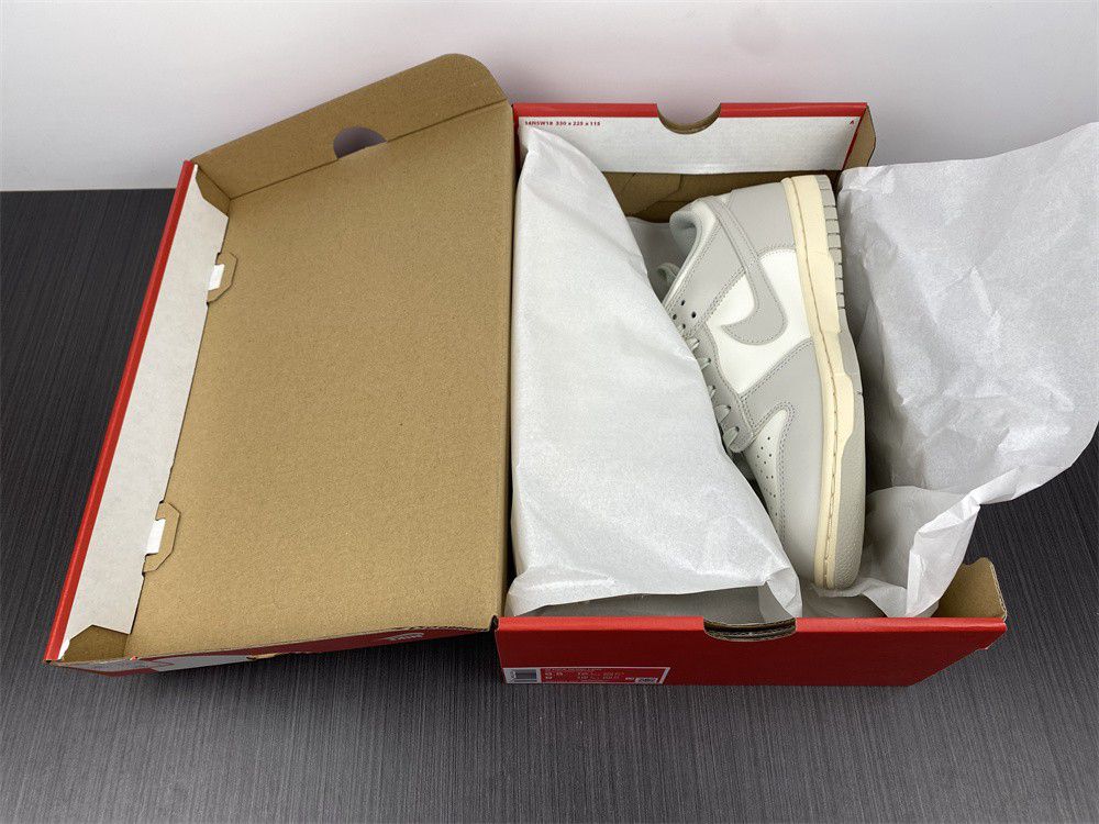 NIKE DUNK LOW DD1503-107