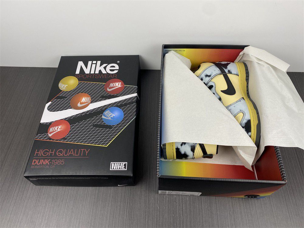 Dunk High DD9404-700