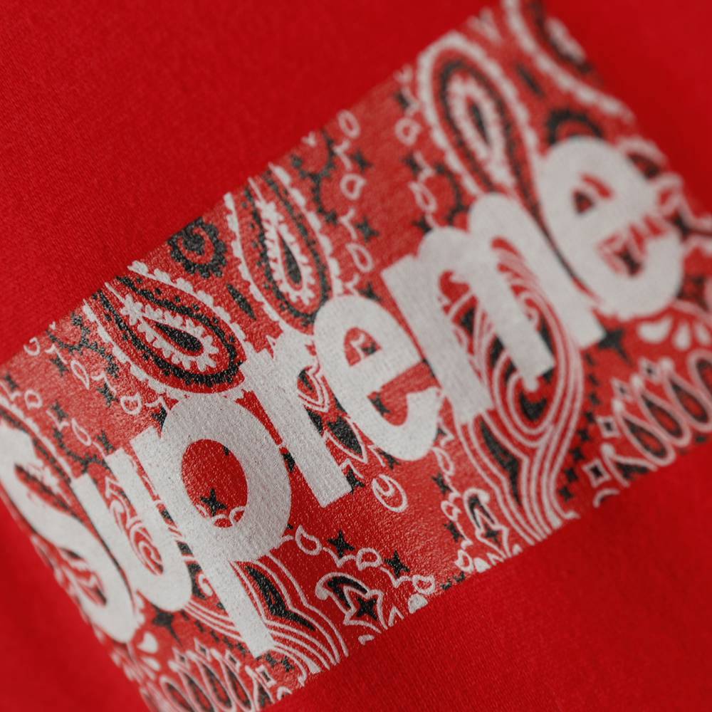 Svp*me 19FW Bandana Box Logo Tee